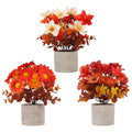 Fall Decor Set for Thanksgiving Autumn Home Fireplace - Orange Variation
