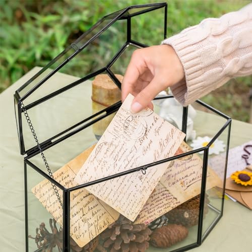 Gothic Glass Box with Lock & Swing Lid for Keepsakes and Cards - Coffin-Shaped, 10.4 Inch