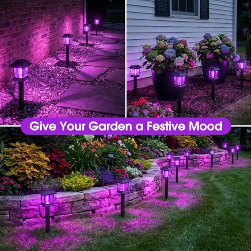 Purple Solar Pathway Lights 12 Pack Outdoor Waterproof Garden Decor - Auto On/Off