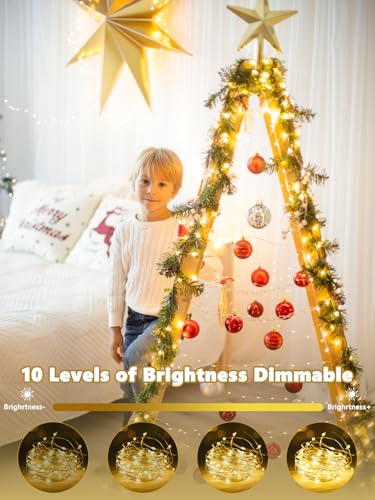 2 Pack Battery Operated Fairy Lights with Remote 66ft 200 LEDs Warm White - Indoor & Outdoor Decor