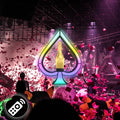 LED Ace of Spades Champagne Bottle Display with Remote Control - Color Adjustable Lighted Liquor Holder for Bars & Parties