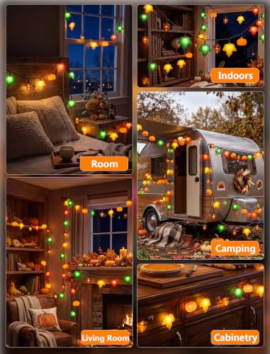 8.5FT Fall Pumpkin Maple Leaf Acorn String Lights - Outdoor Decor, Plug-in, 10 LED