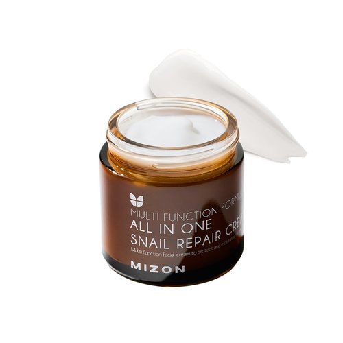 MIZON All In One Snail Repair Cream - Snail Mucin & Hyaluronic Acid for Wrinkle Recovery | 2.53 fl oz