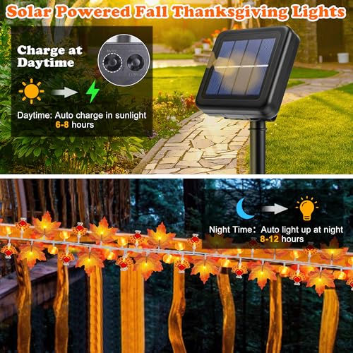 Solar Thanksgiving Garland with Enlarge Turkey & Pumpkin Lights - Waterproof 20Ft Decor