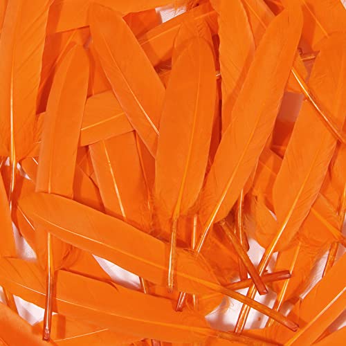 Orange Goose Cochettes Feather Bulk 120pcs 4-6 Inch for DIY Crafts & Decorations