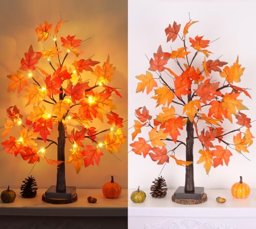 1 Pack 24-Inch Lighted Fall Maple Tree with LED Lights, Battery Operated Autumn Tabletop Decor – Thanksgiving & Indoor Fall Centerpiece