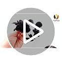 Fake Flower Heads Set - 50pcs Artificial Silk Flowers for DIY Decor