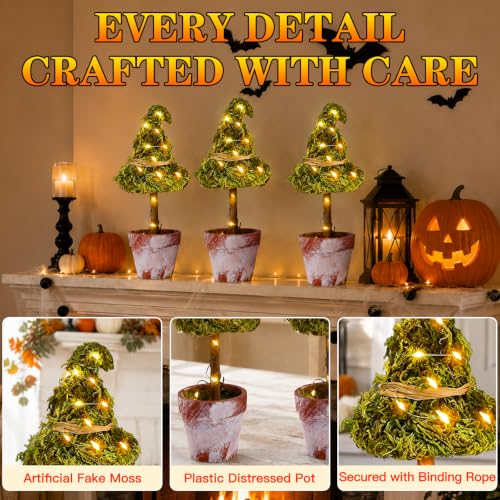 Halloween Witch Hat Topiary Decor with LED Lights - 3 Pieces, Woodland Style