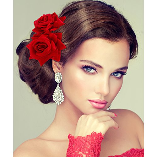 Women Red Rose Flower Hair Clips - Flamenco & Party Side Comb Set