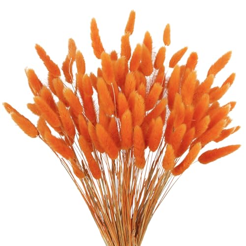 Orange Dried Rabbit Tail Flowers - Natural Handmade Decor, 120PCS