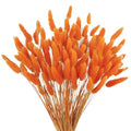Orange Dried Rabbit Tail Flowers - Natural Handmade Decor, 120PCS
