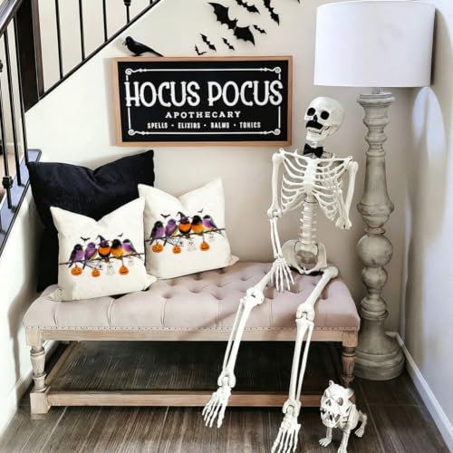 Halloween Pillow Cover 16x16 Inch Outdoor Decor Black Pumpkin Pattern