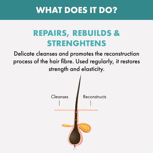 Alfaparf Milano Semi Di Lino Reparative Shampoo - Sulfate & Paraben Free for Damaged Hair - Professional Quality