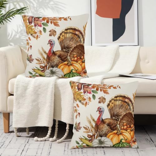 Thanksgiving Fall Turkey Outdoor Decorative Pillow Covers 18x18 Pack of 2 - Double-Sided Print