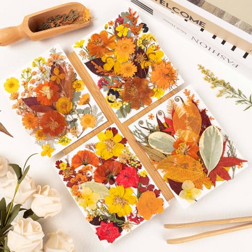 Fall Dried Pressed Flowers Leaves with Tweezers - 140 Pcs Autumn DIY Crafts & Decorations - Variation of Fall 140pcs