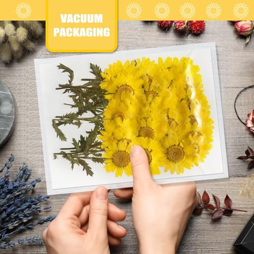 Yellow Dried Daisy Flowers with Stem for Resin Crafts - 42PCS Natural Pressed Flowers for Jewelry Phone Case Candle Home Decor