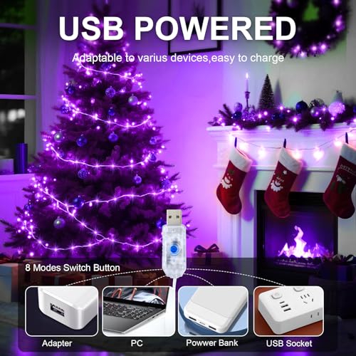 Purple 2 Pack USB Fairy String Lights 16ft with Remote & Timer - Indoor Outdoor Decor