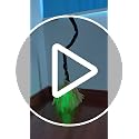 Animated Halloween Witch Broom Lighted Prop - Spooky Green LED, Sound & Motion