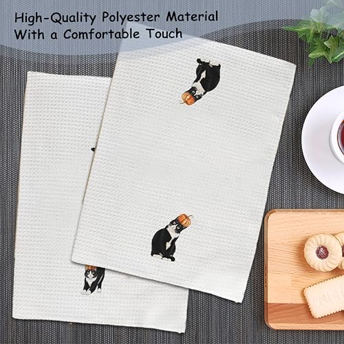 Fall Tuxedo Cat Pumpkin Hand Dish Towels Set of 2 - Halloween Kitchen Decor
