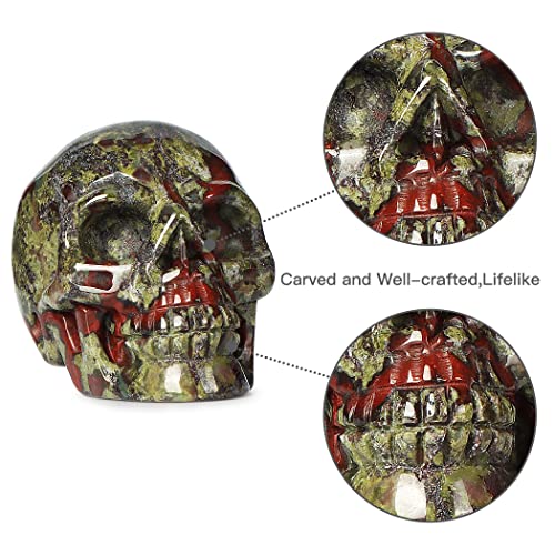 Artistone 1.8-Inch Dragon Blood Stone Hand Carved Crystal Skull Decor Halloween Gift Variation of Skull-Dragon Blood Stone
