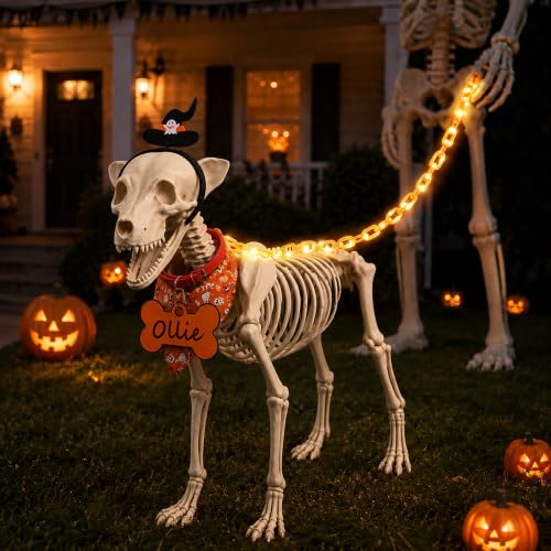 7Ft Skeleton Dog Costume Accessories Set - Orange Halloween Decor