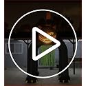 Inflatable Halloween Archway with Black Cat Design - 13 Ft Tall, Self-Inflating Outdoor Decor
