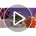 Halloween Pet Paw Print Wooden Table Decor Set - Whimsical Indoor Halloween Decorations