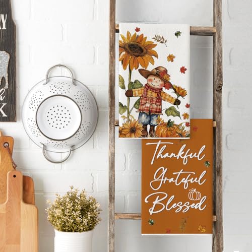 Fall Pumpkin & Scarecrow Kitchen Towels Set of 4 18x26 Inch - Kitchen Decor & Dish Cloths