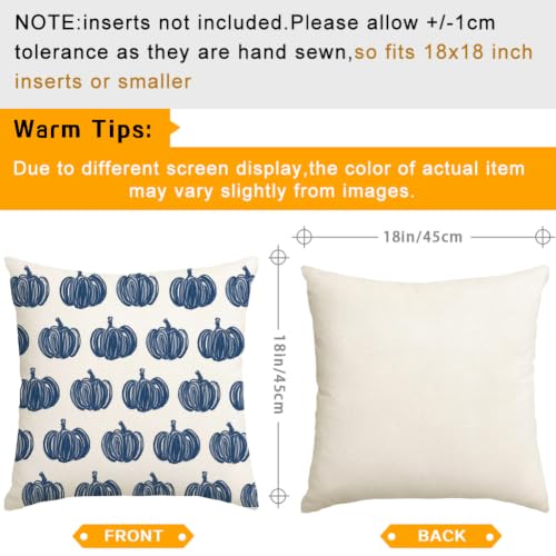 Outdoor Pillow Covers 18x18 Waterproof Blue Pumpkin Set of 2 Fall Decor