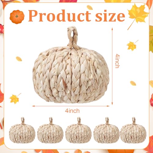 Fall Woven Rattan Pumpkin Decor Set - Handcrafted Corn Husk Craft, 4 Inch