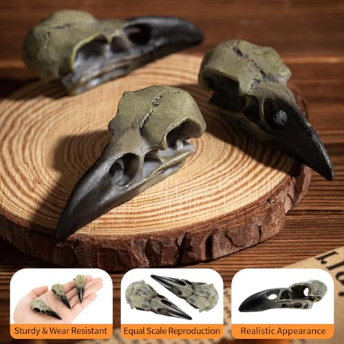 3 Pack Gothic Raven Skull Necklaces Halloween Skull Pendant Jewelry
