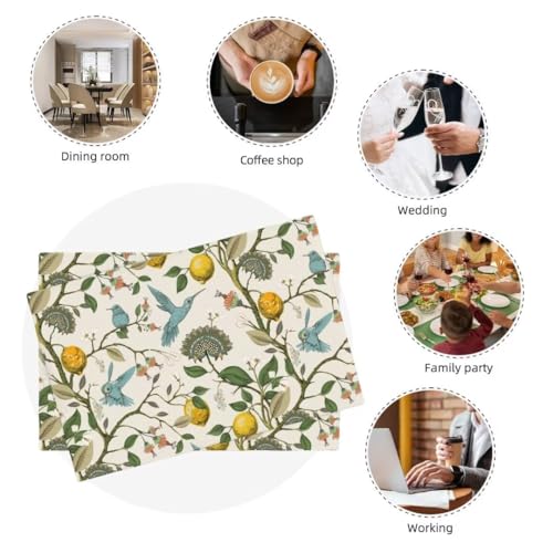 Retro Lemon Placemat Set of 4 - Summer Blue Birds Botanical Flower Table Mats