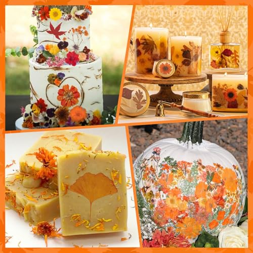 Fall Dried Pressed Flowers Leaves with Tweezers - 140 Pcs Autumn DIY Crafts & Decorations - Variation of Fall 140pcs