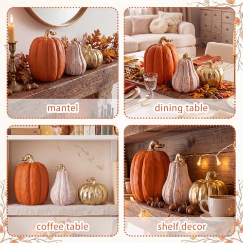 Fall Pumpkin Decor Set of 3 - White and Gold Resin Pumpkin Statues with Variation Pumpkin / Fall