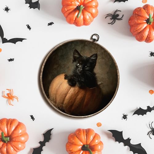 Yorhifa Black Cat Fall Pumpkin Round Wall Art - Variation 7, 10x10in