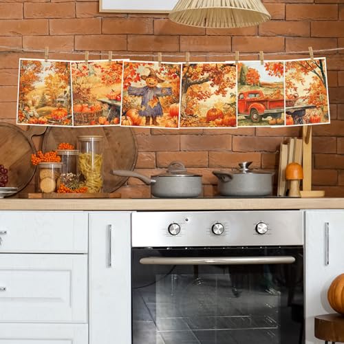 Fall Swedish Dishcloth Set - 6 Absorbent Cotton Kitchen Towels with Rustic Autumn Designs