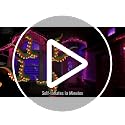 Halloween Inflatable Lighted Octopus Tentacle - Style E, 5.6 ft Tall Outdoor Decor