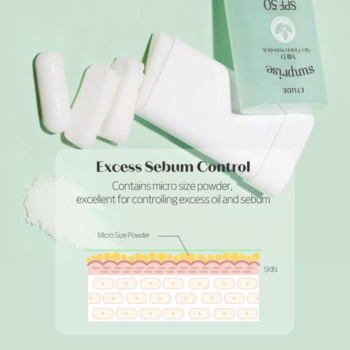 ETUDE Sunprise Sunstick SPF50+ | Vegan, Non-Greasy, Matte Finish for Sensitive Skin - 19g, Ideal for Festivals