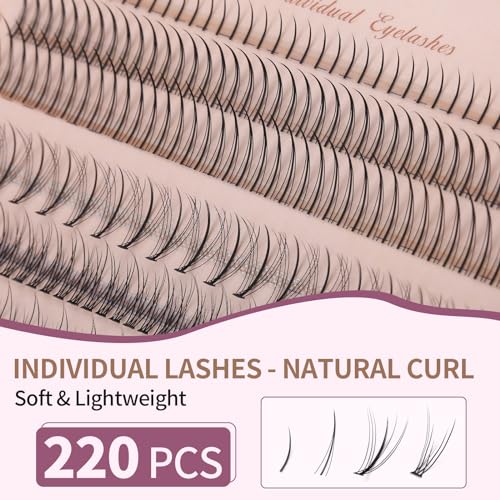 4 Types Eyelash Clusters Pack - 220 Pcs Natural Fairy & Manga Styles 6-11mm DIY Eyelash Extensions