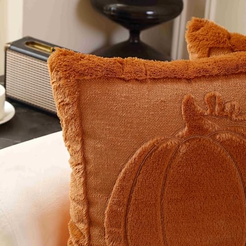 18x18 Fall Pumpkin Throw Pillow Covers Set of 2 Cream - Autumn Decor