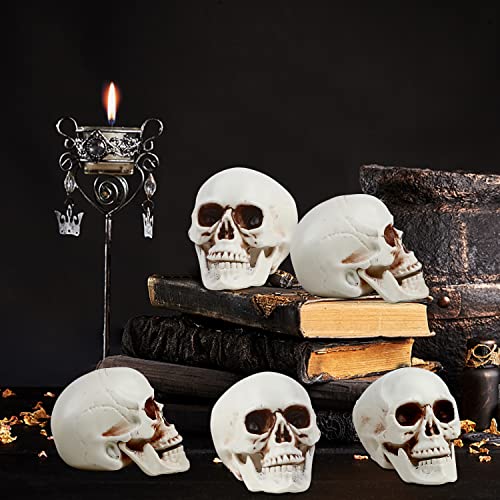 Halloween Skull Decorations 8pcs Mini Realistic Human Skulls for Haunted House & Party - Variation of 2.75 Inch
