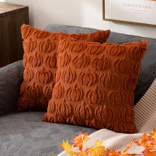 ANRODUO Fall Decorations Pillow Covers 18x18 Set of 2 Dark Rust Pumpkin Embroidered