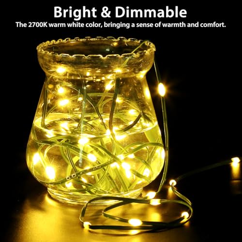 Green Wire Battery Operated String Lights 33ft Warm White with Remote & Timer