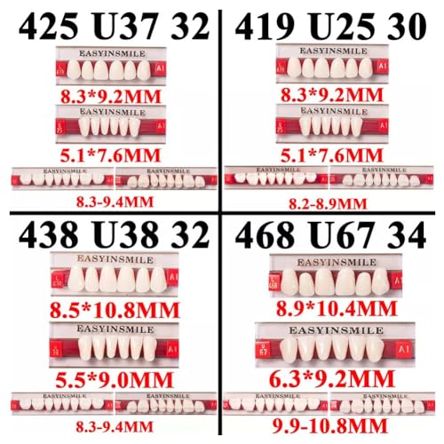 Dental Synthetic Resin Teeth Replacement Full Set A3 - Halloween Props, Dentures 438+U38+32