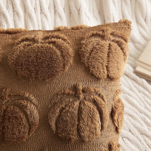 Fall Pumpkin Pillow Covers 18x18 Inch Set of 2 Brown Autumn Decor