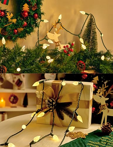 Outdoor Christmas String Lights 25ft 50 LEDs Faceted C6 Warm White