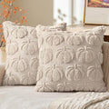 MIULEE Fall Pumpkin Pillow Covers 24x24 Inch Set of 2 Beige Autumn Decor