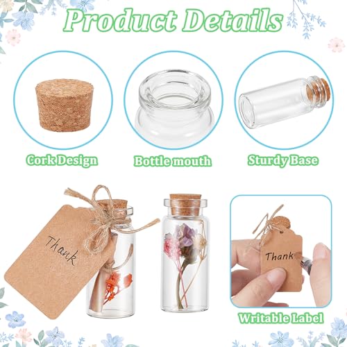 200 Pcs 10ml Glass Bottles with Cork, Labels & String - DIY & Decor