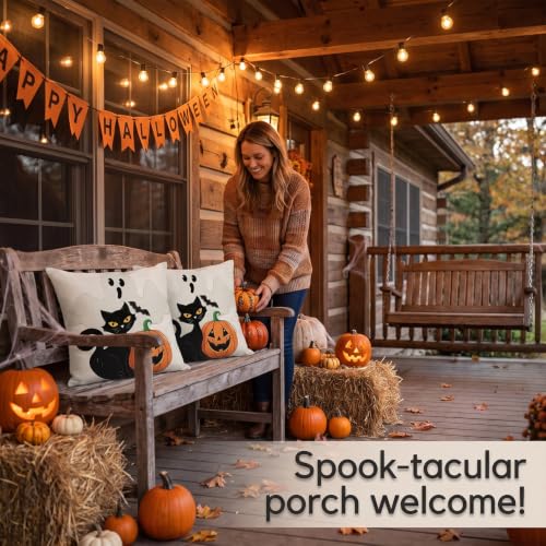 Halloween Black Cat Throw Pillow Cover 18x18 with Ghost - Pack of 2
