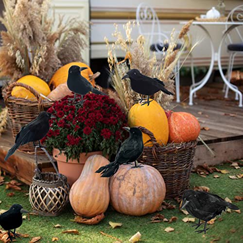 12 Pieces Halloween Black Feathered Crows Decor - Realistic Ravens for Indoor Outdoor Halloween Scene - 3 Styles